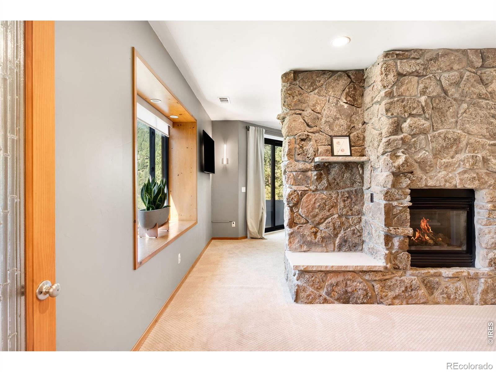 MLS #RECIR1066953 image #17