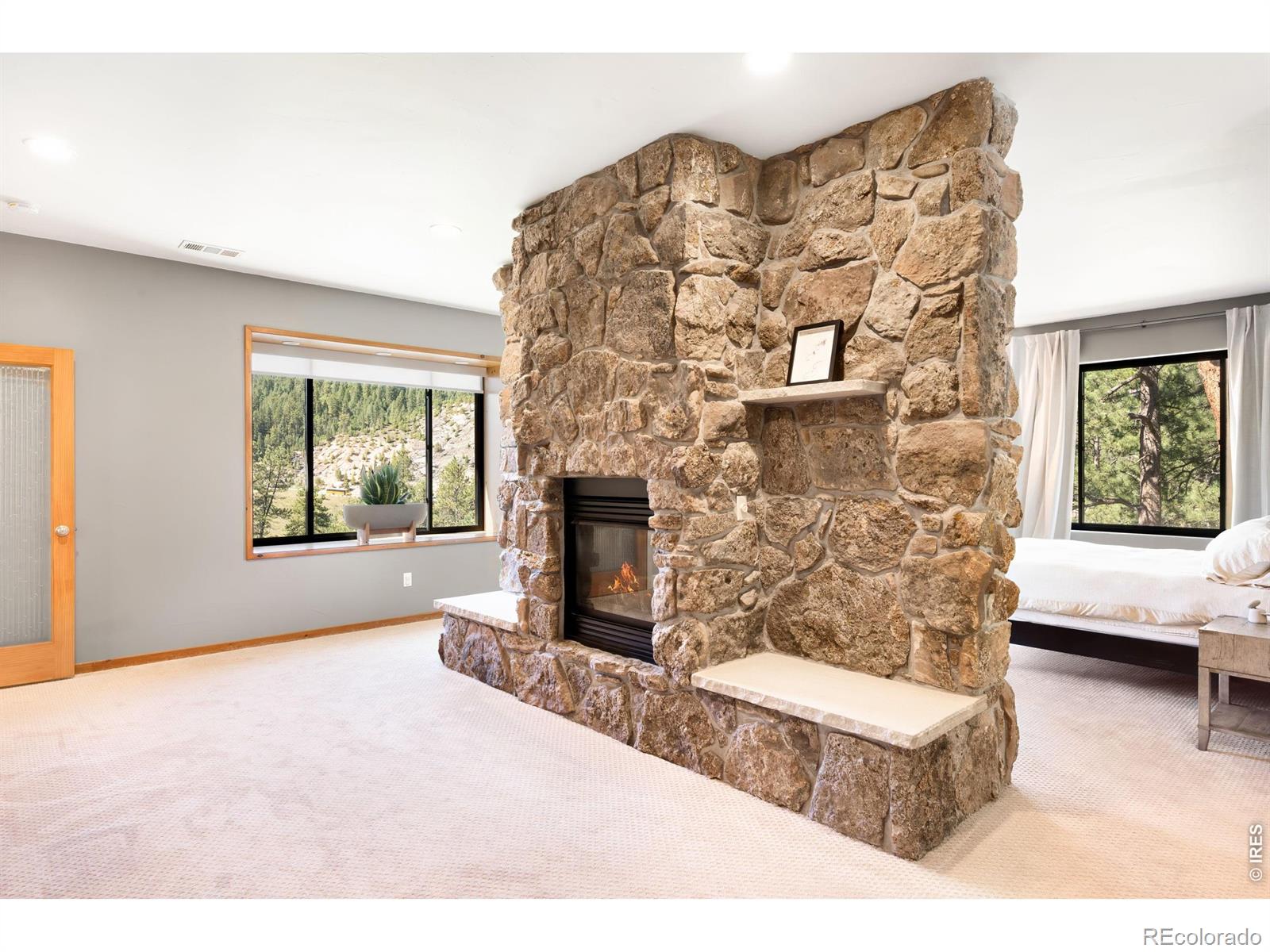 MLS #RECIR1066953 image #19