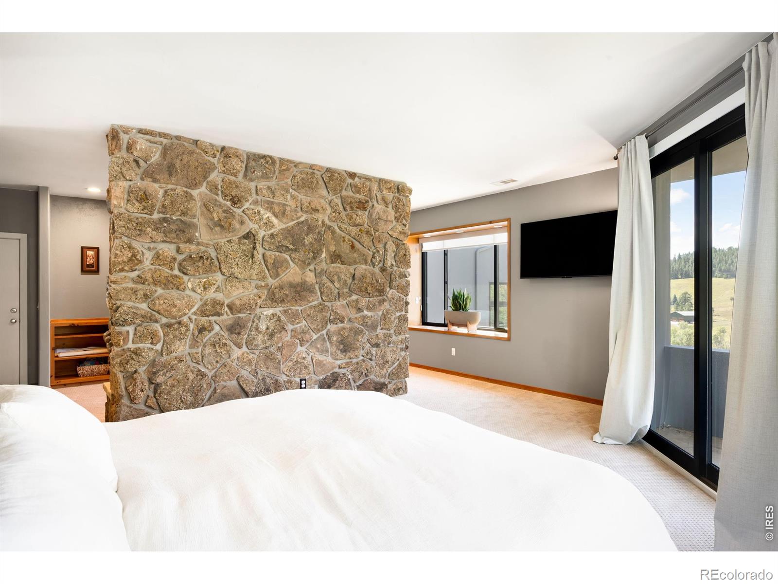MLS #RECIR1066953 image #20
