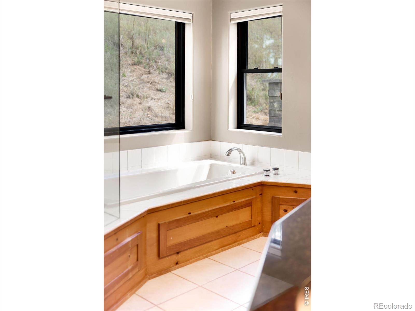 MLS #RECIR1066953 image #25