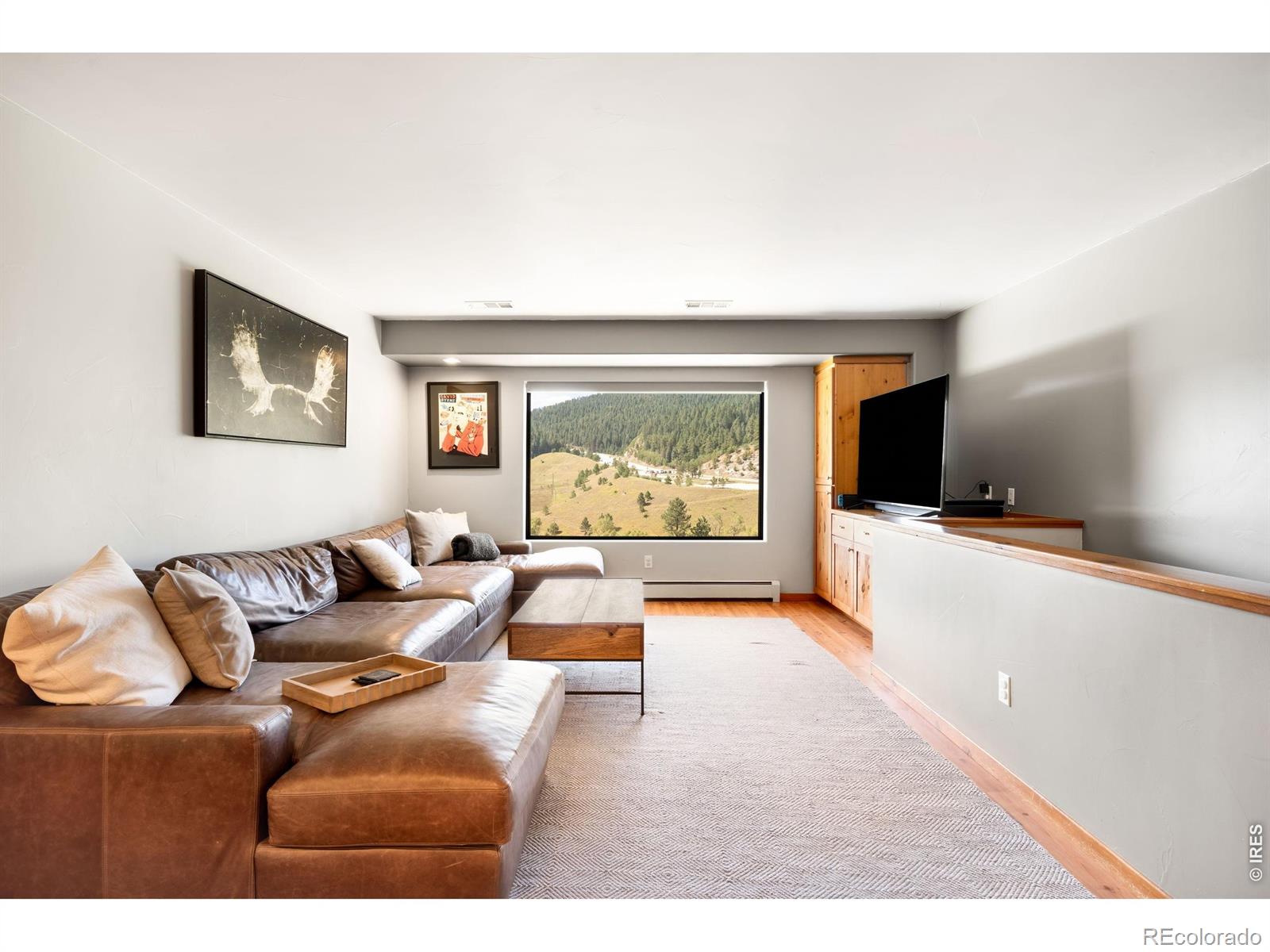 MLS #RECIR1066953 image #27