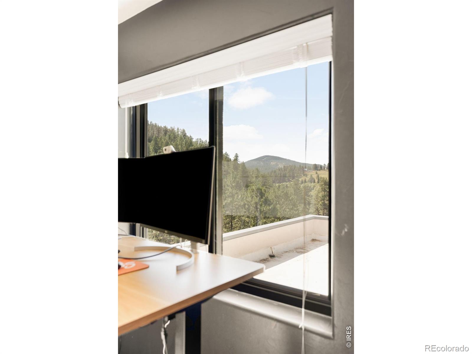 MLS #RECIR1066953 image #29