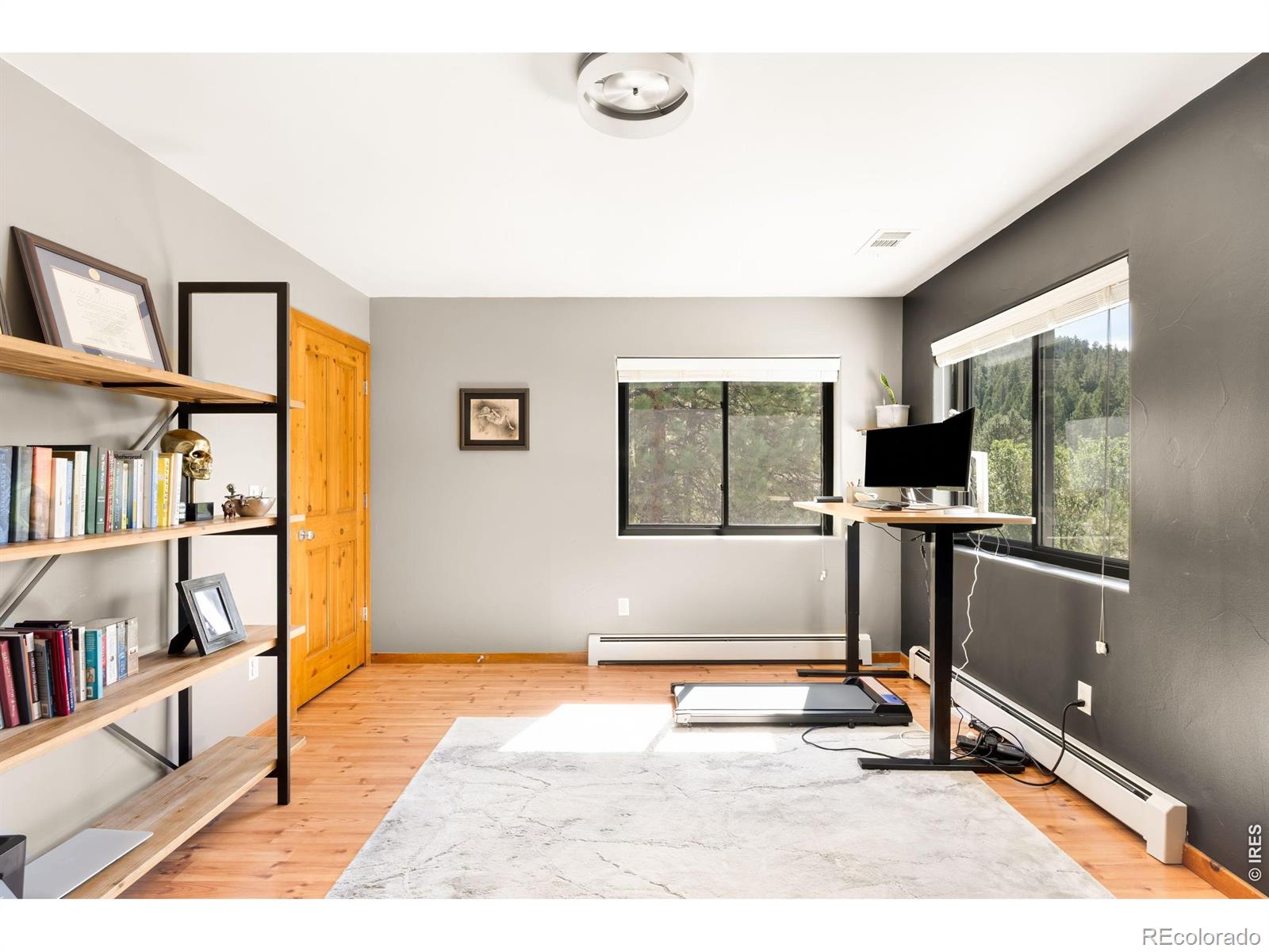 MLS #RECIR1066953 image #30