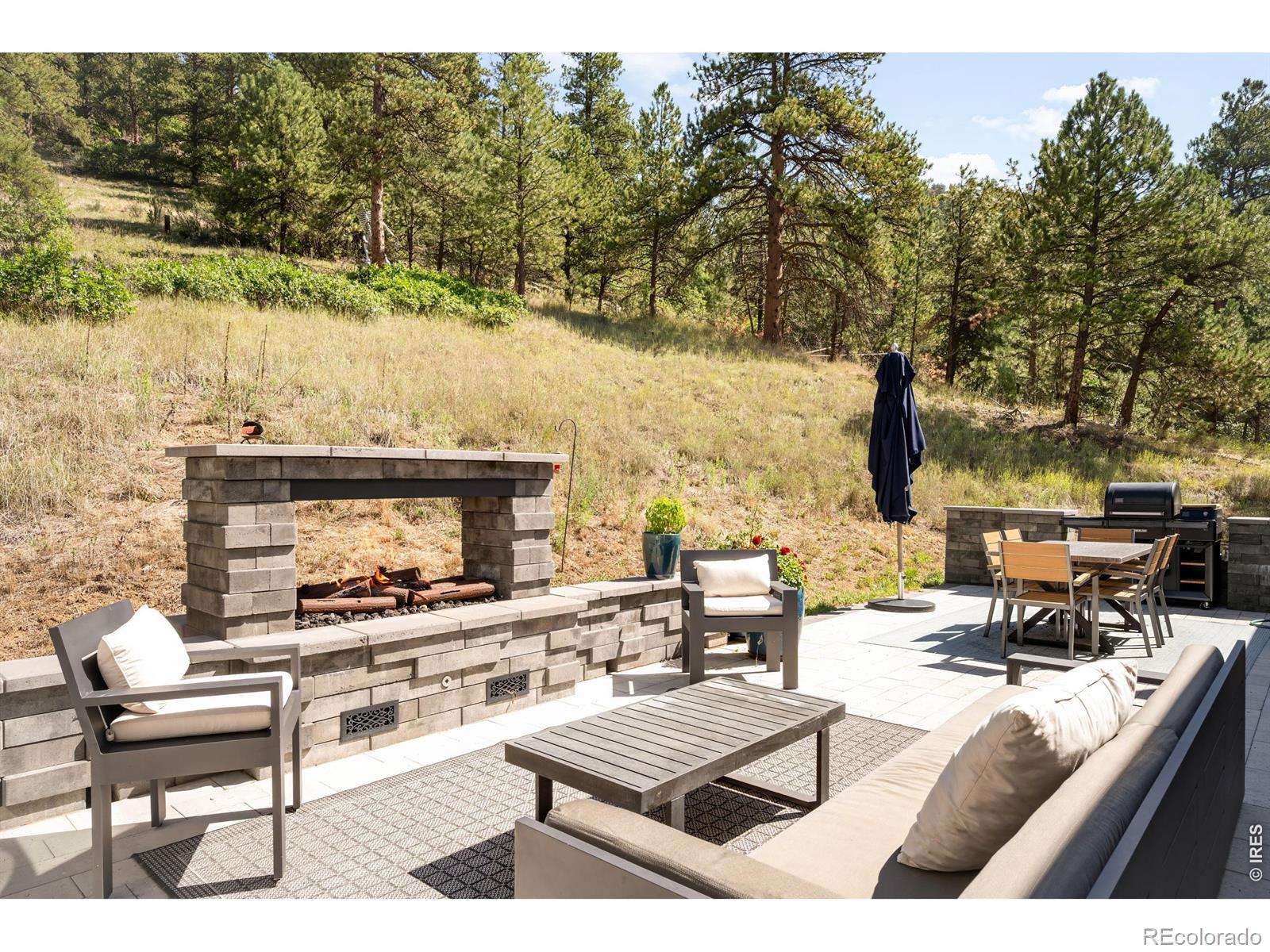 MLS #RECIR1066953 image #39