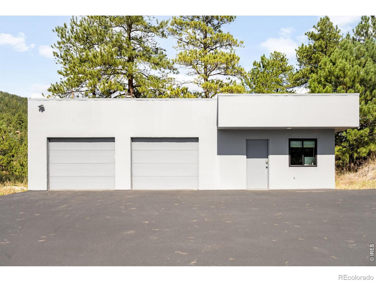 MLS #RECIR1066953 image #41