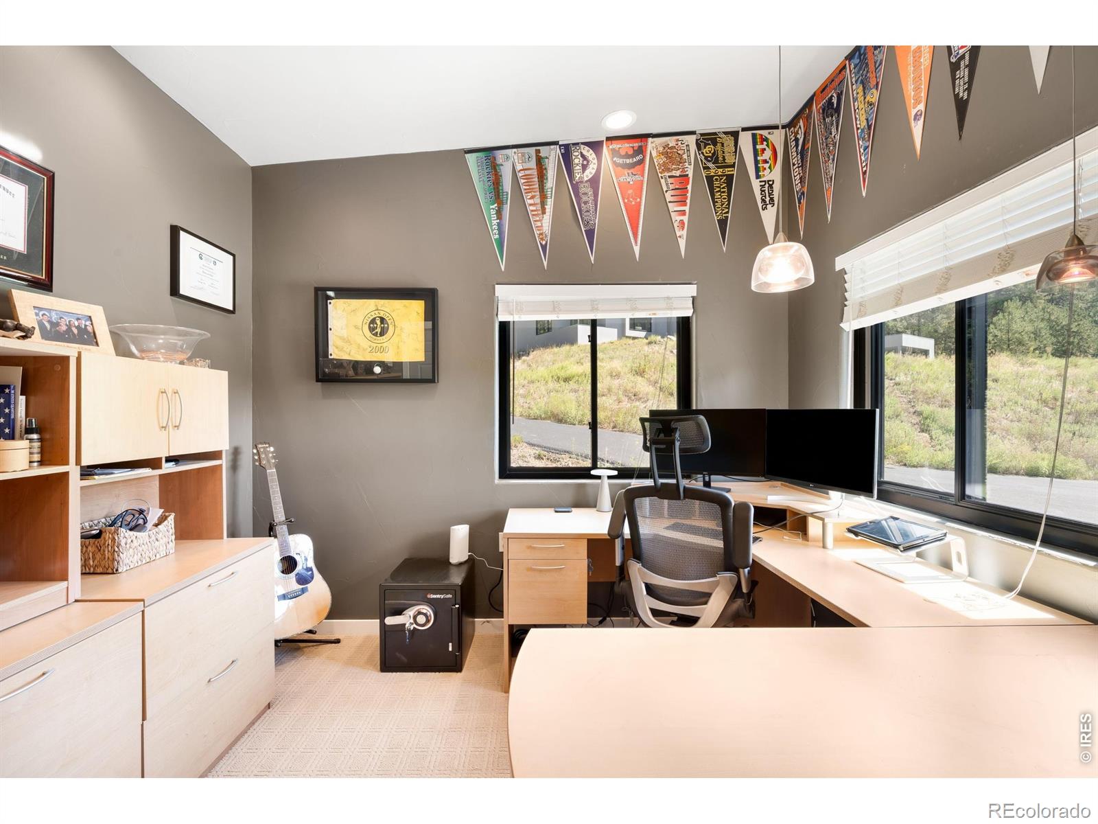 MLS #RECIR1066953 image #42