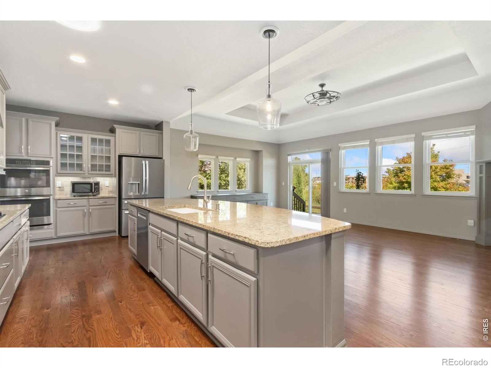 MLS #RECIR1066987 image #1