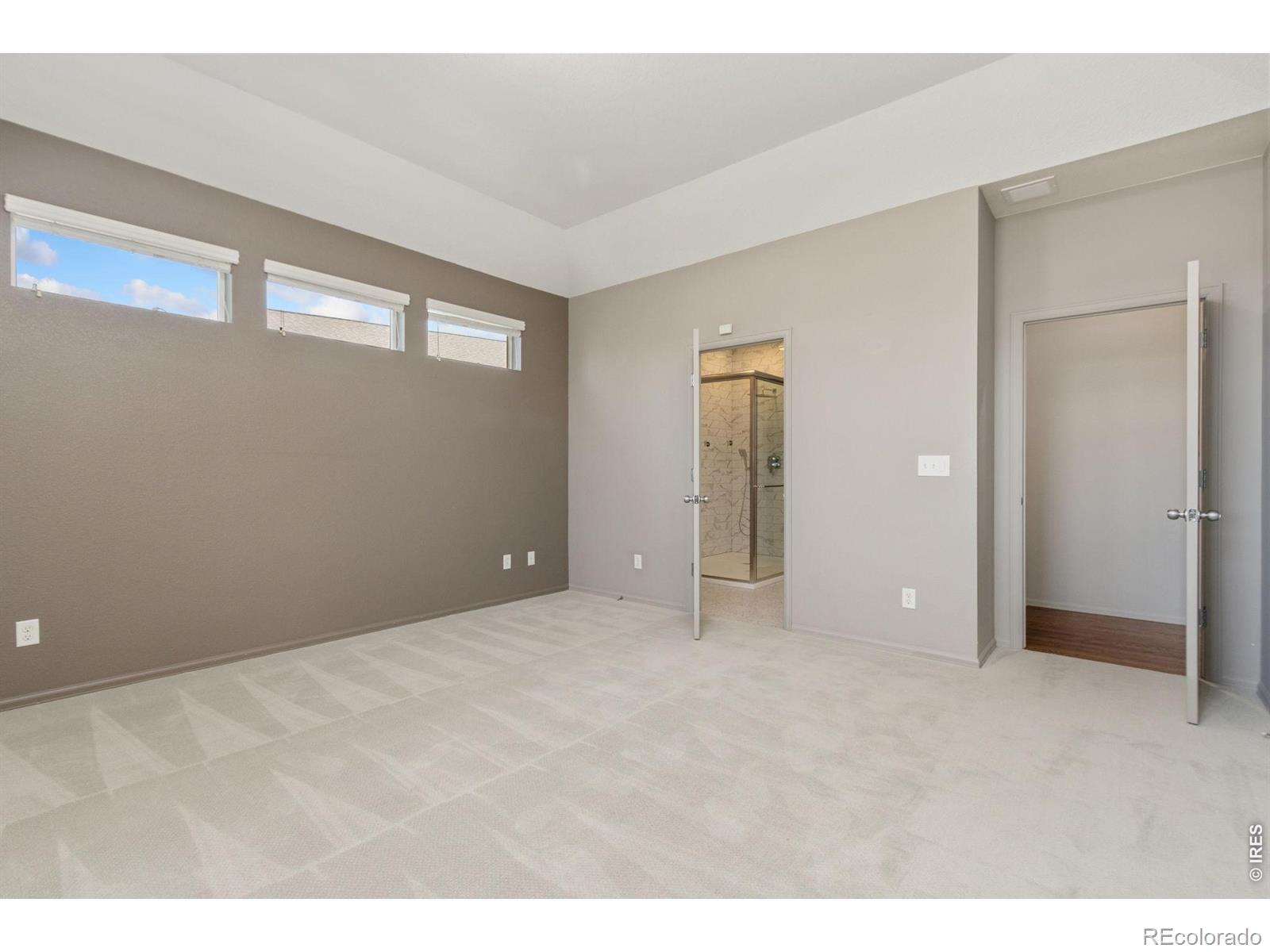 MLS #RECIR1066987 image #10