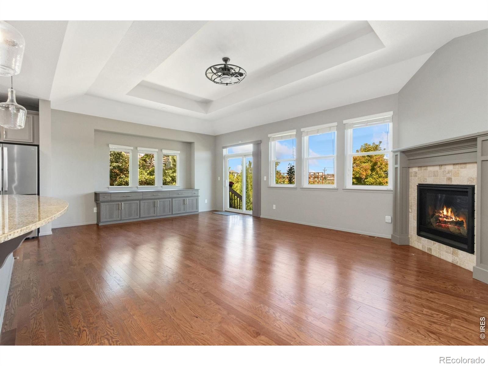 MLS #RECIR1066987 image #6