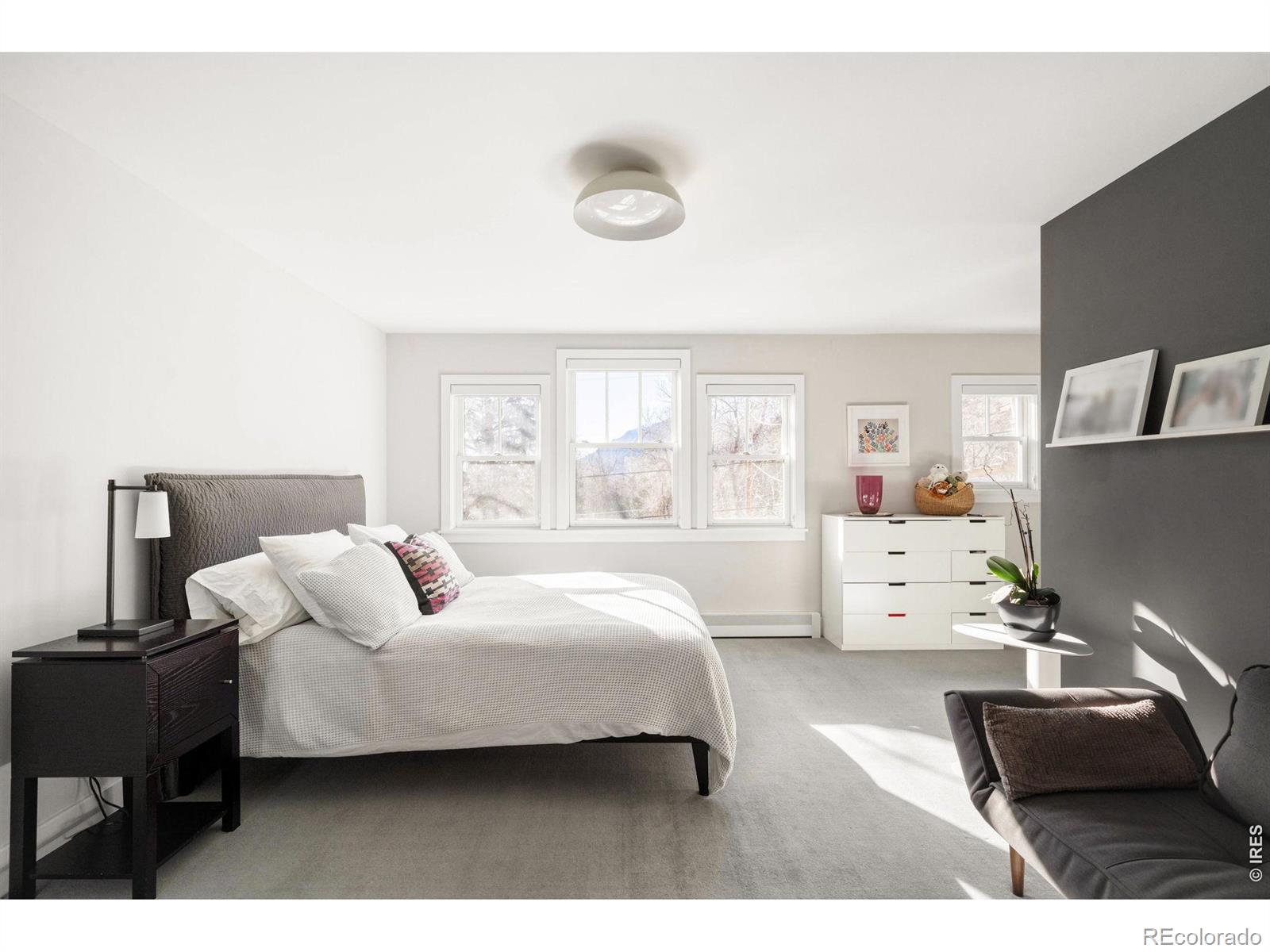 MLS #RECIR1067083 image #36