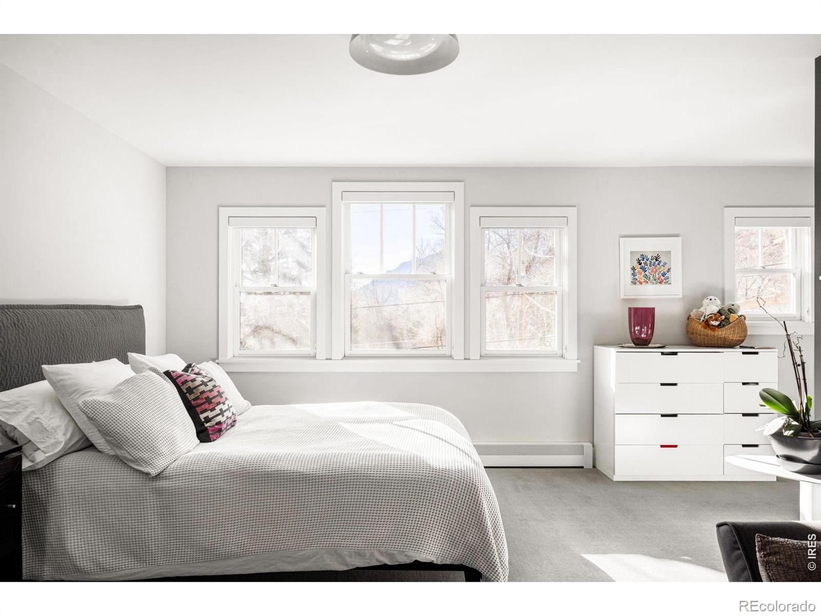 MLS #RECIR1067083 image #37