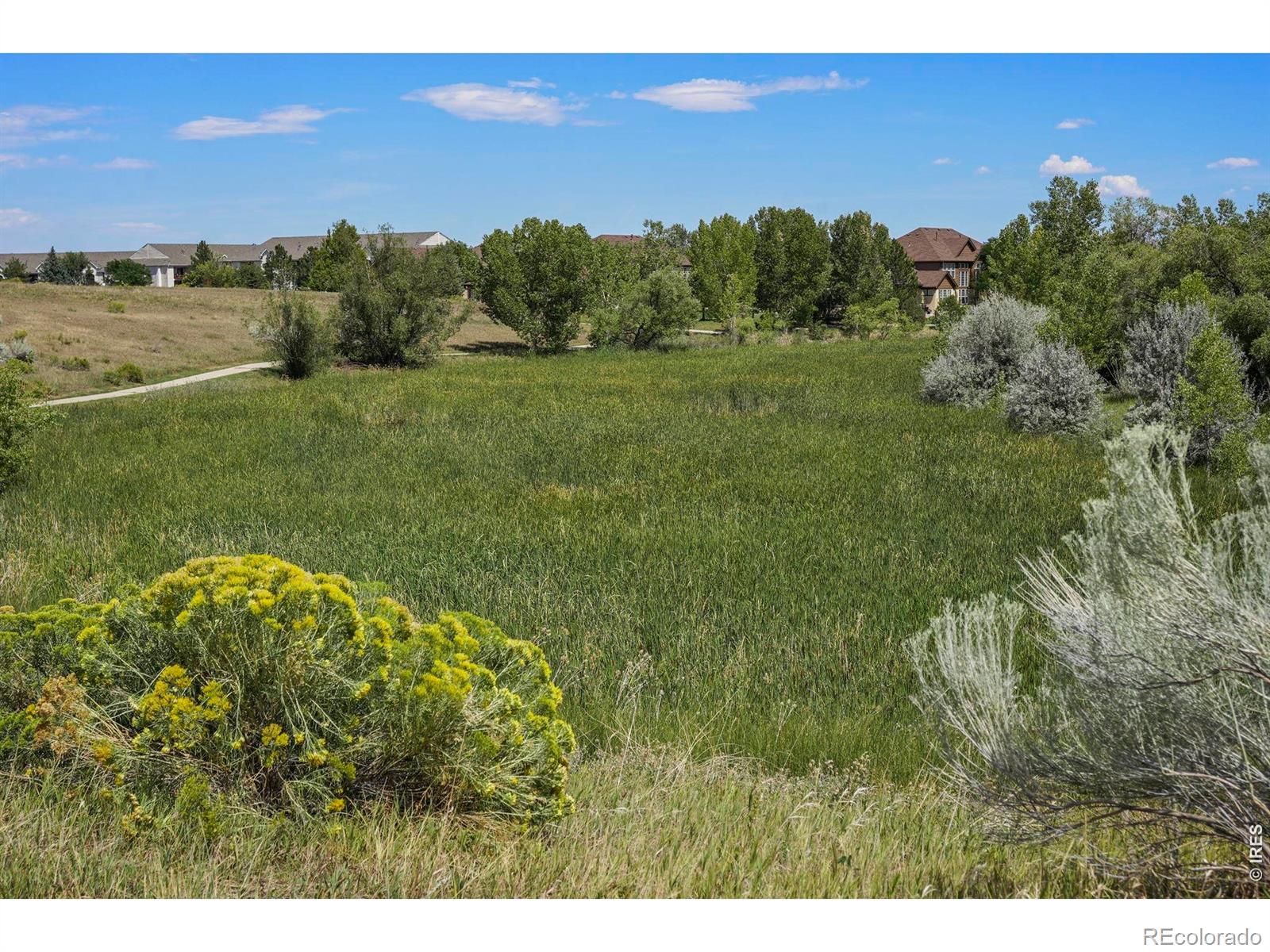 MLS #RECIR1067292 image #23