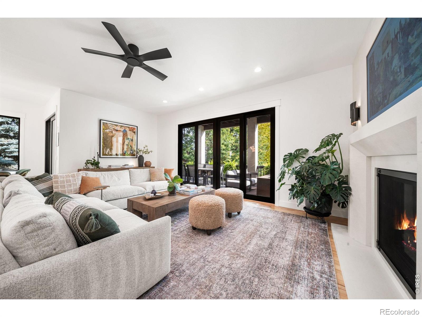MLS #RECIR1067373 image #15