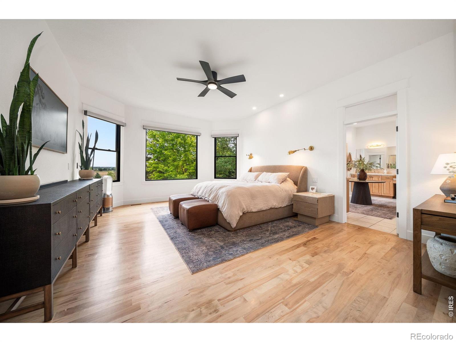 MLS #RECIR1067373 image #28