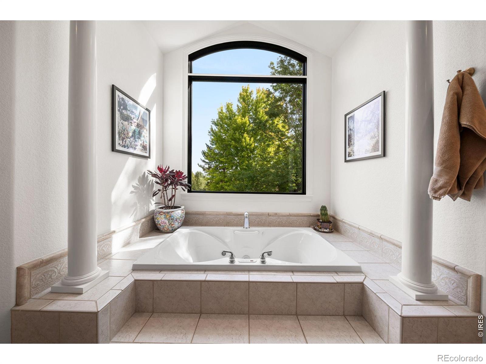MLS #RECIR1067373 image #30