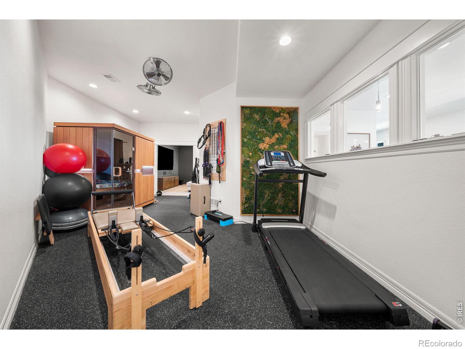MLS #RECIR1067373 image #39
