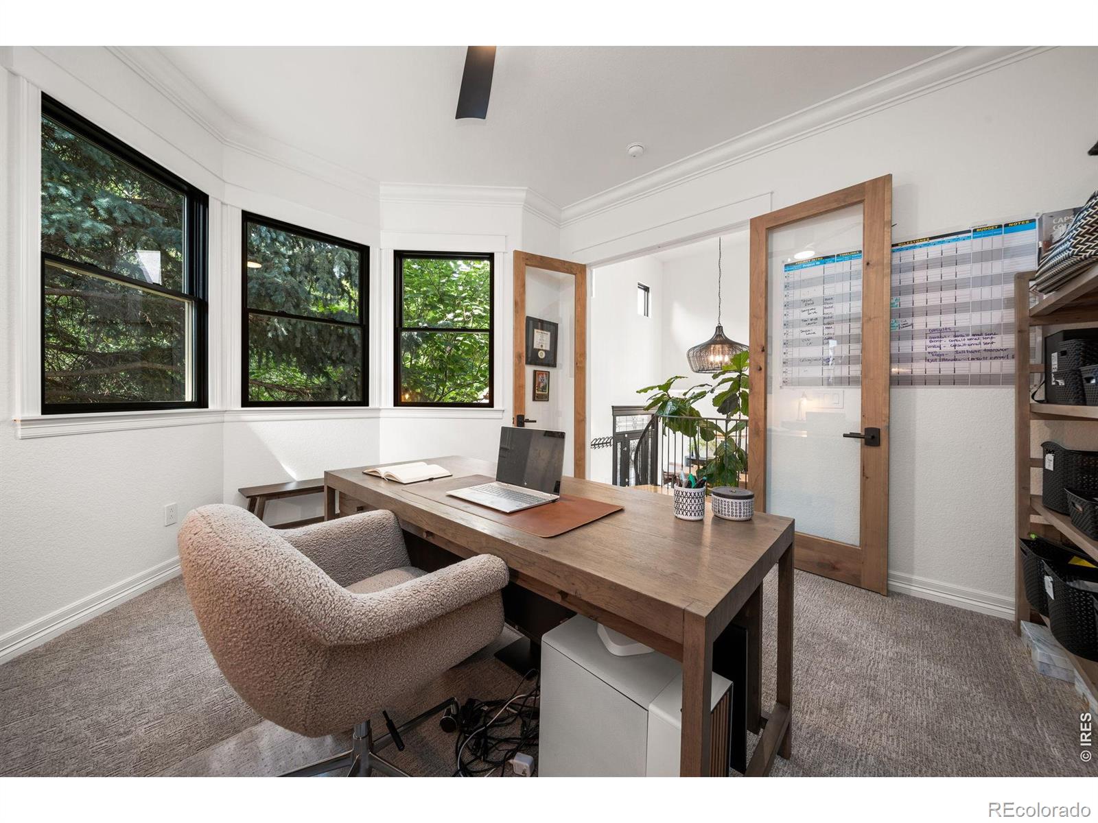 MLS #RECIR1067373 image #41