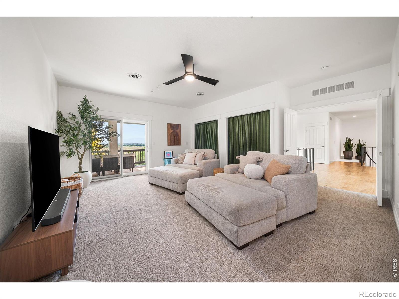 MLS #RECIR1067373 image #43