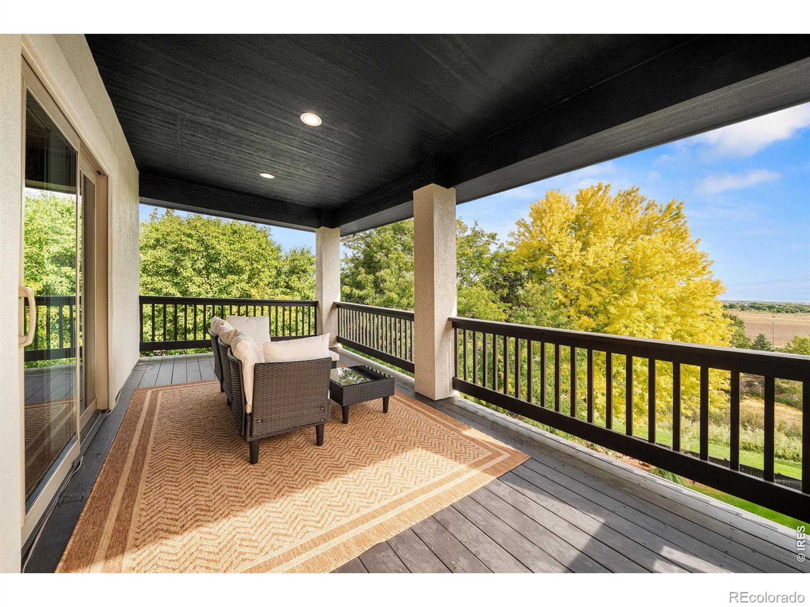 MLS #RECIR1067373 image #44