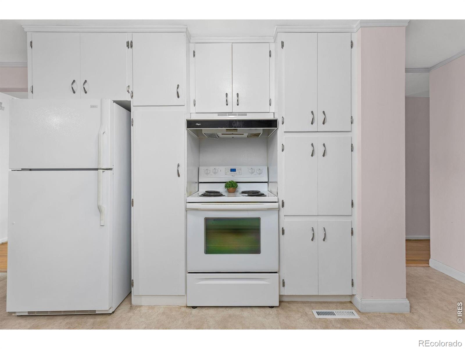 MLS #RECIR1067483 image #13
