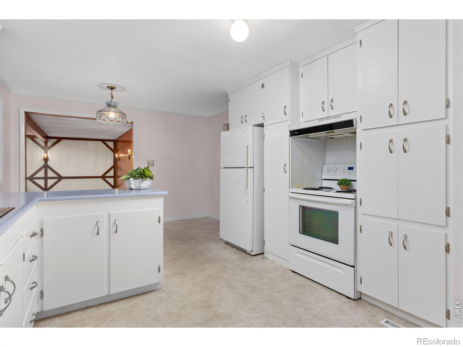 MLS #RECIR1067483 image #14
