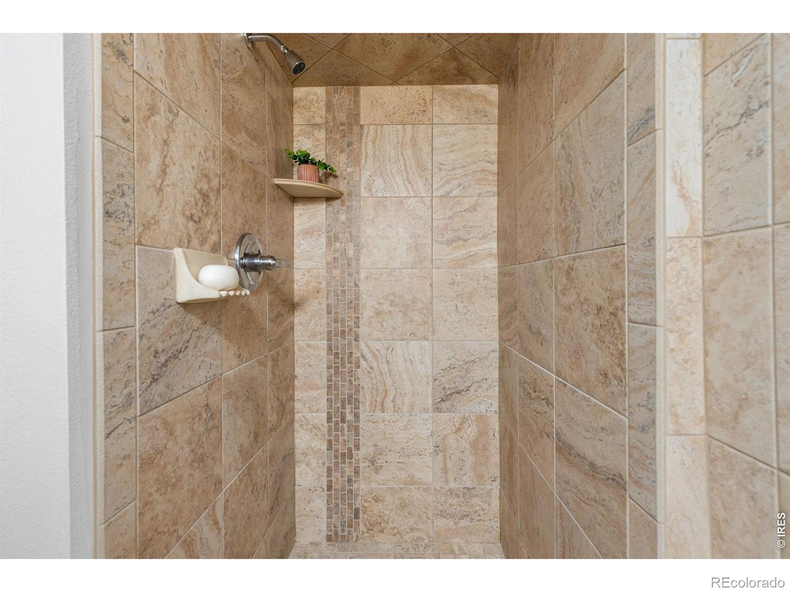 MLS #RECIR1067483 image #36