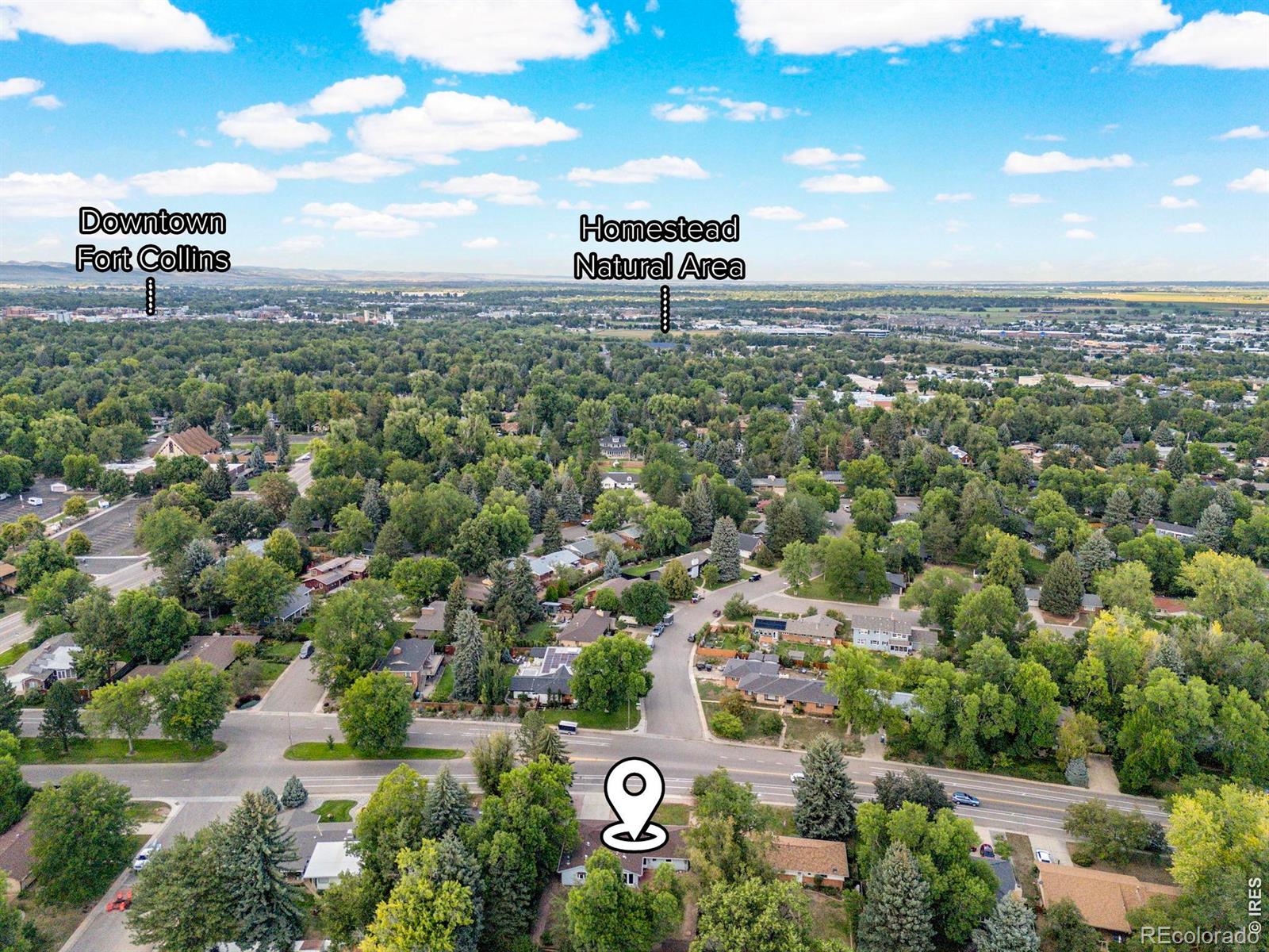 MLS #RECIR1067483 image #45