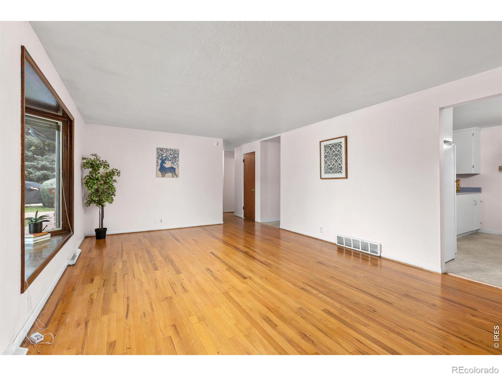 MLS #RECIR1067483 image #9