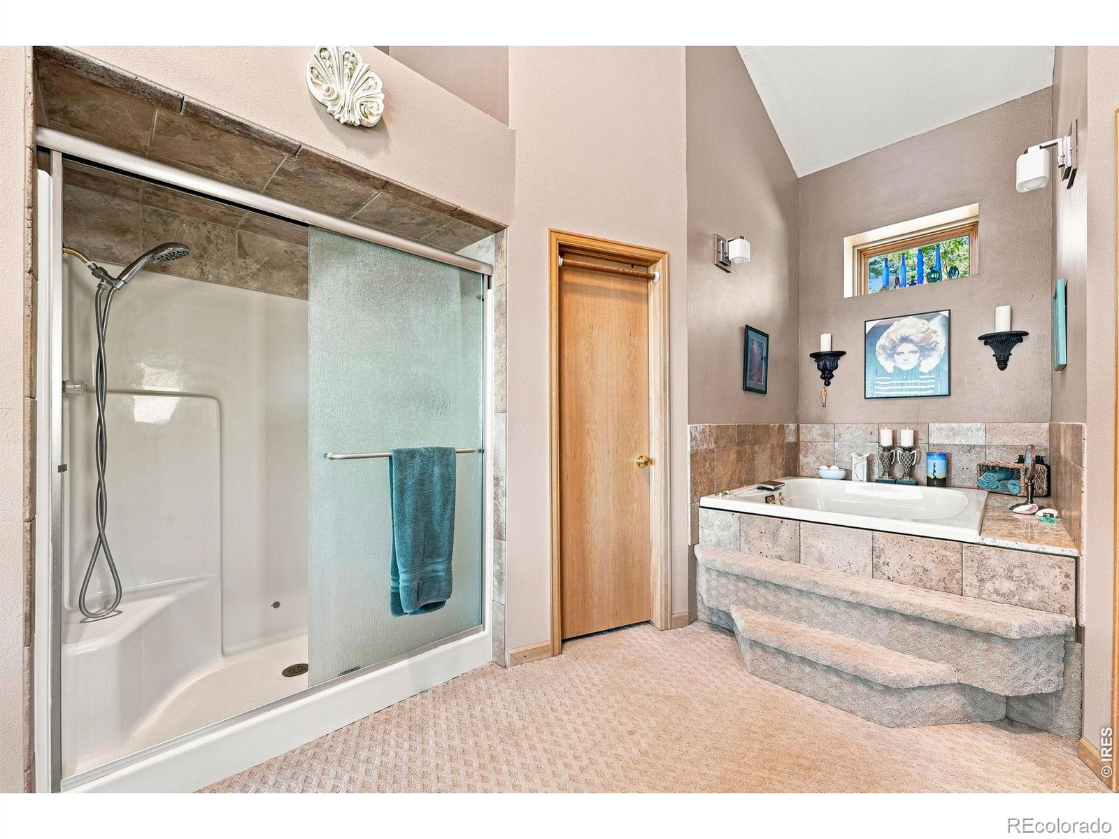 MLS #RECIR1067515 image #18