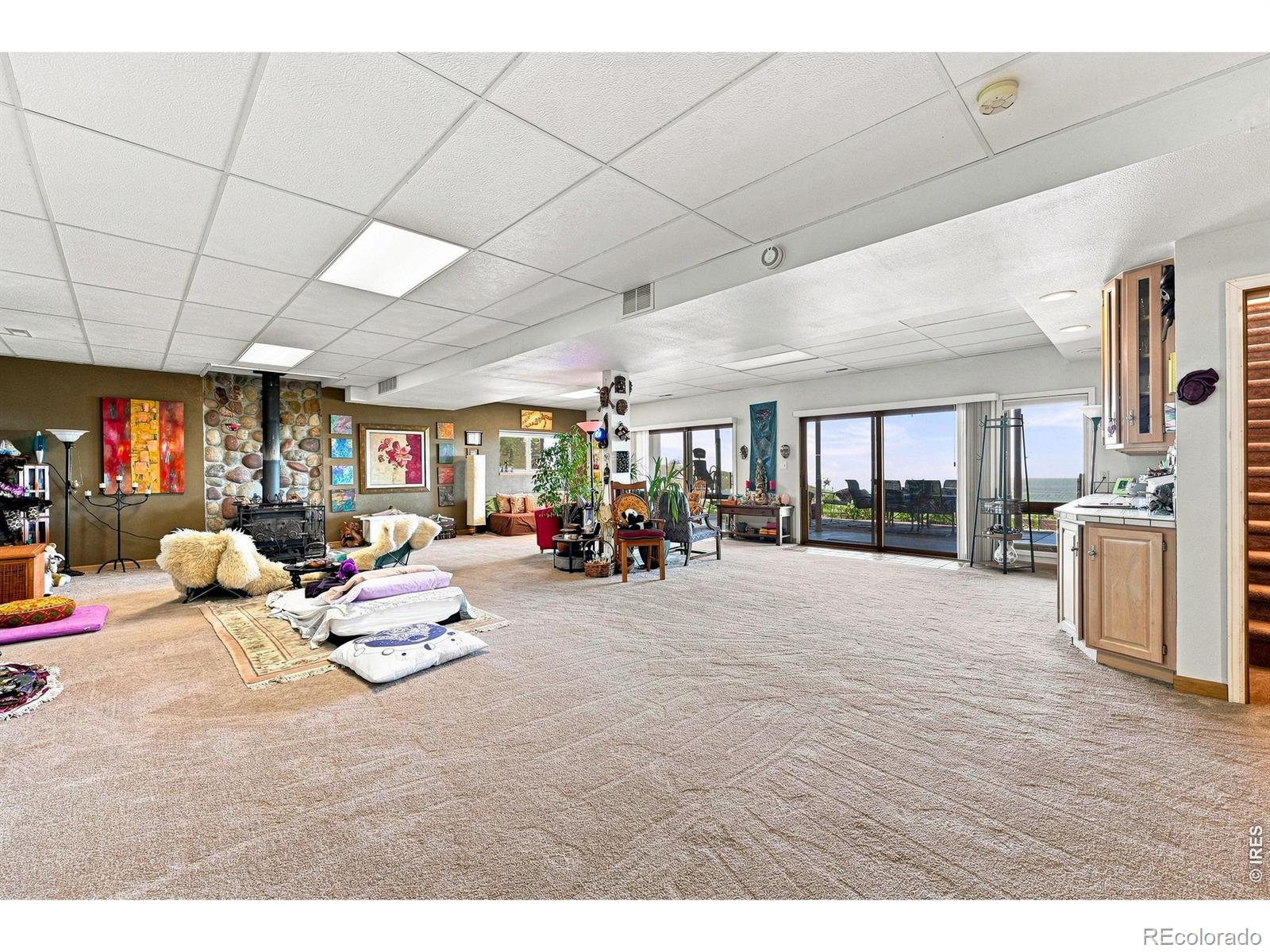 MLS #RECIR1067515 image #22