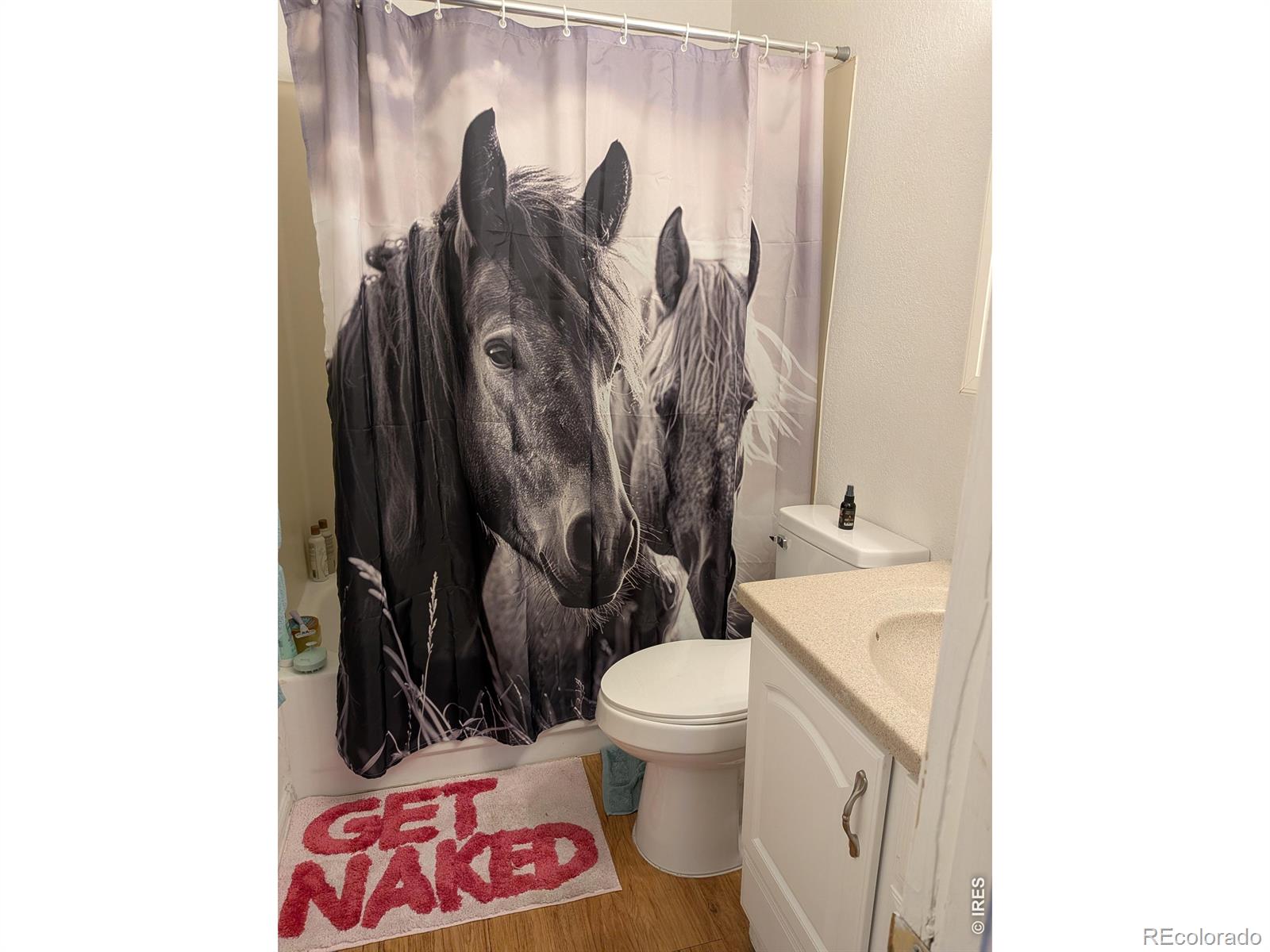 MLS #RECIR1067588 image #5