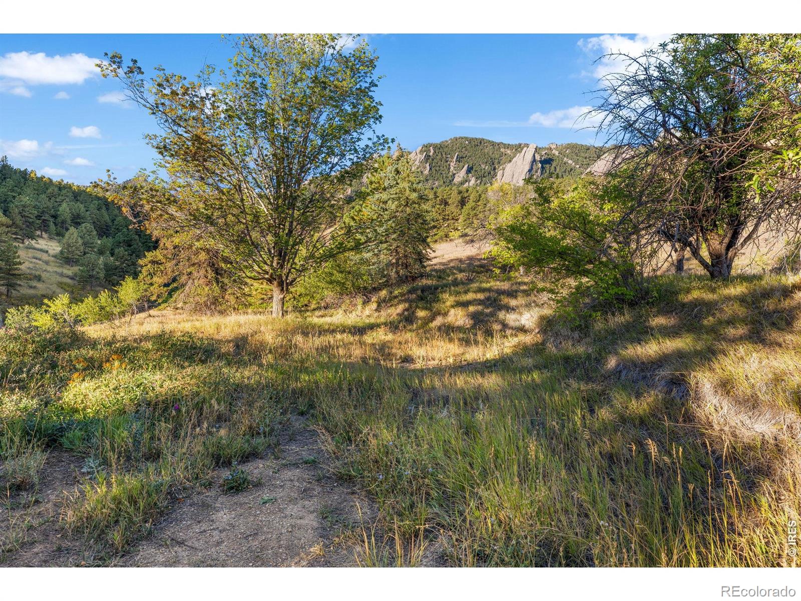 MLS #RECIR1067634 image #22