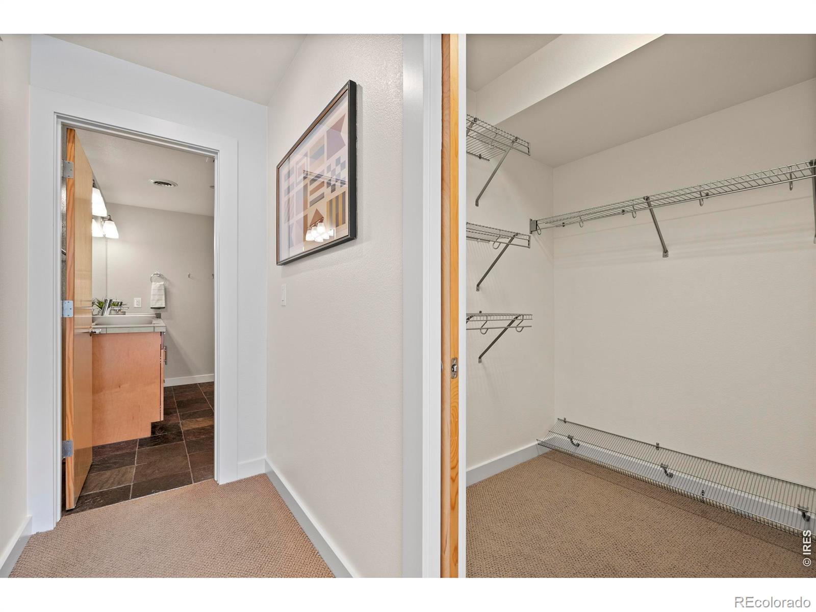 MLS #RECIR1067686 image #33