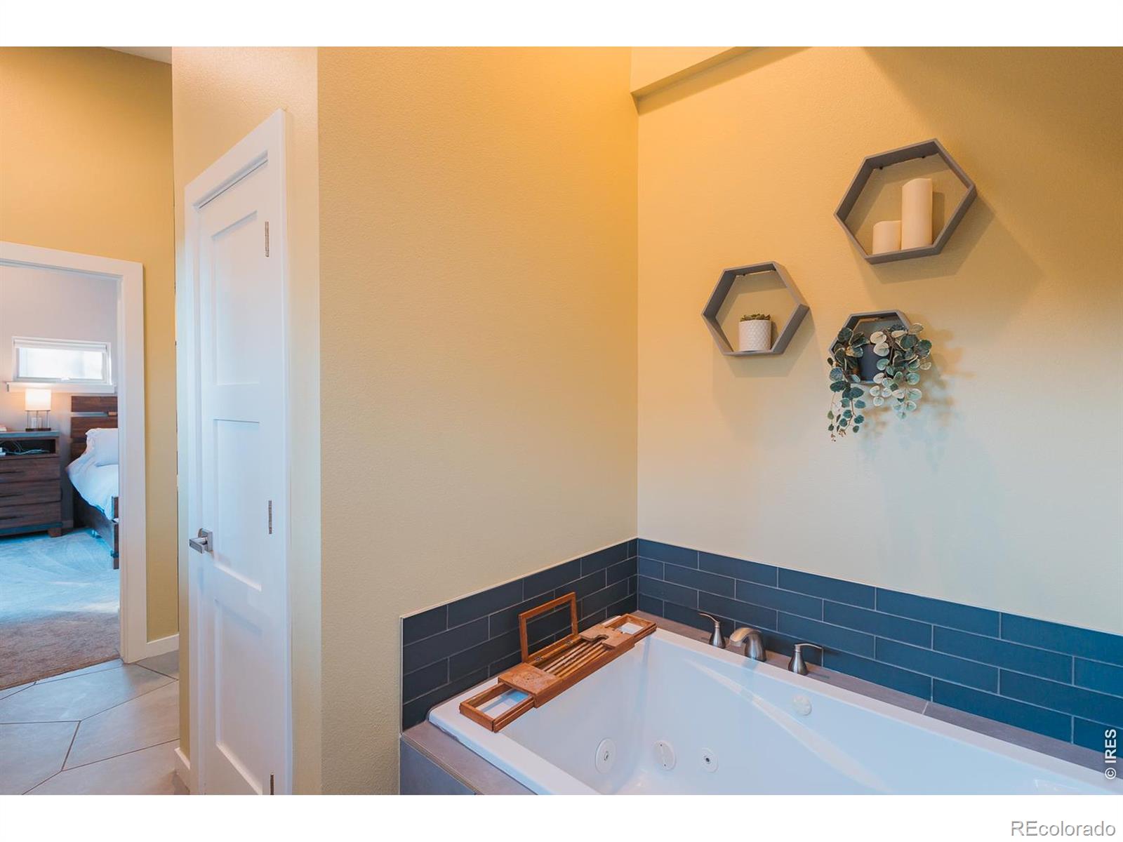 MLS #RECIR1067705 image #34