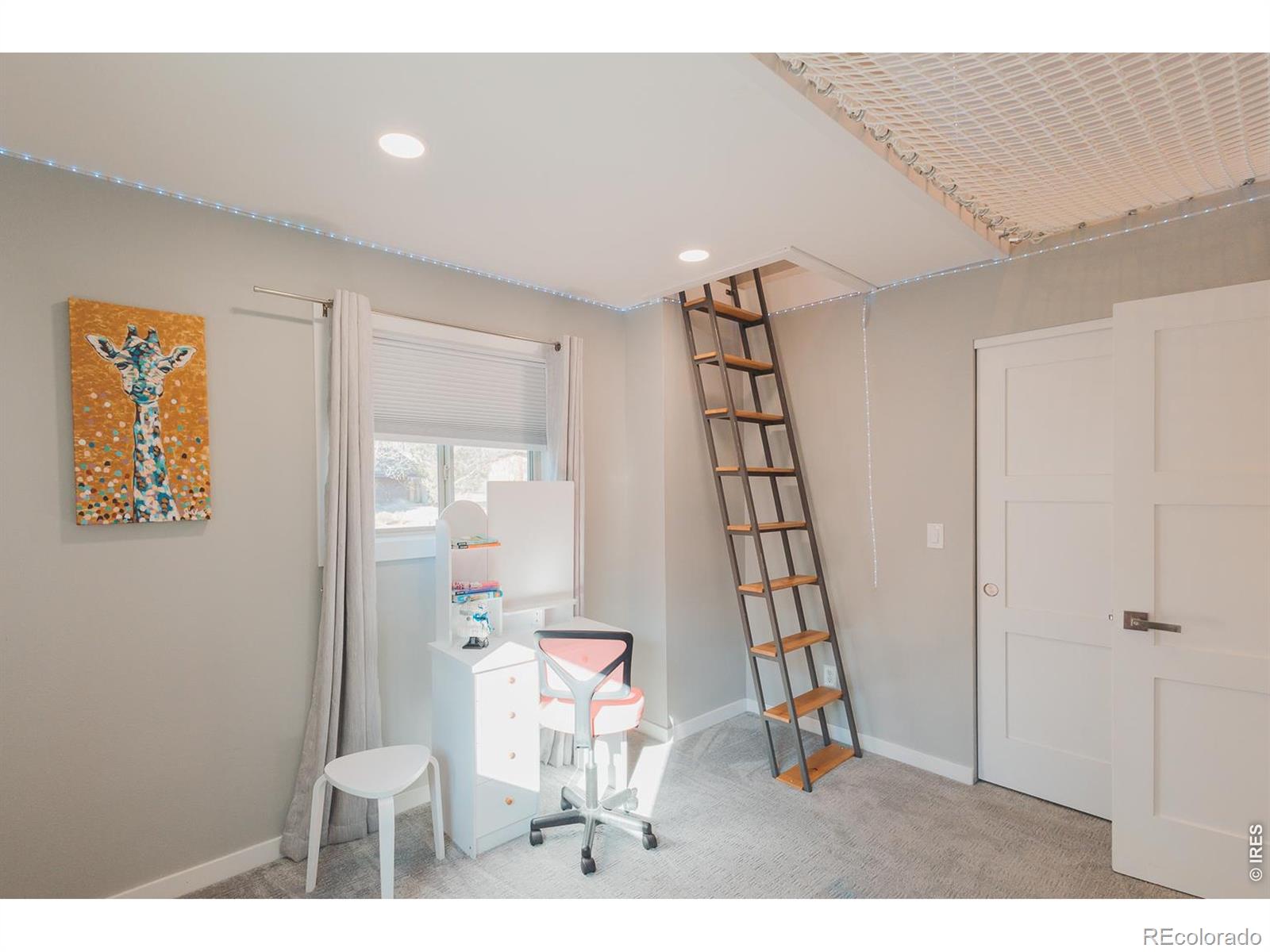 MLS #RECIR1067705 image #35