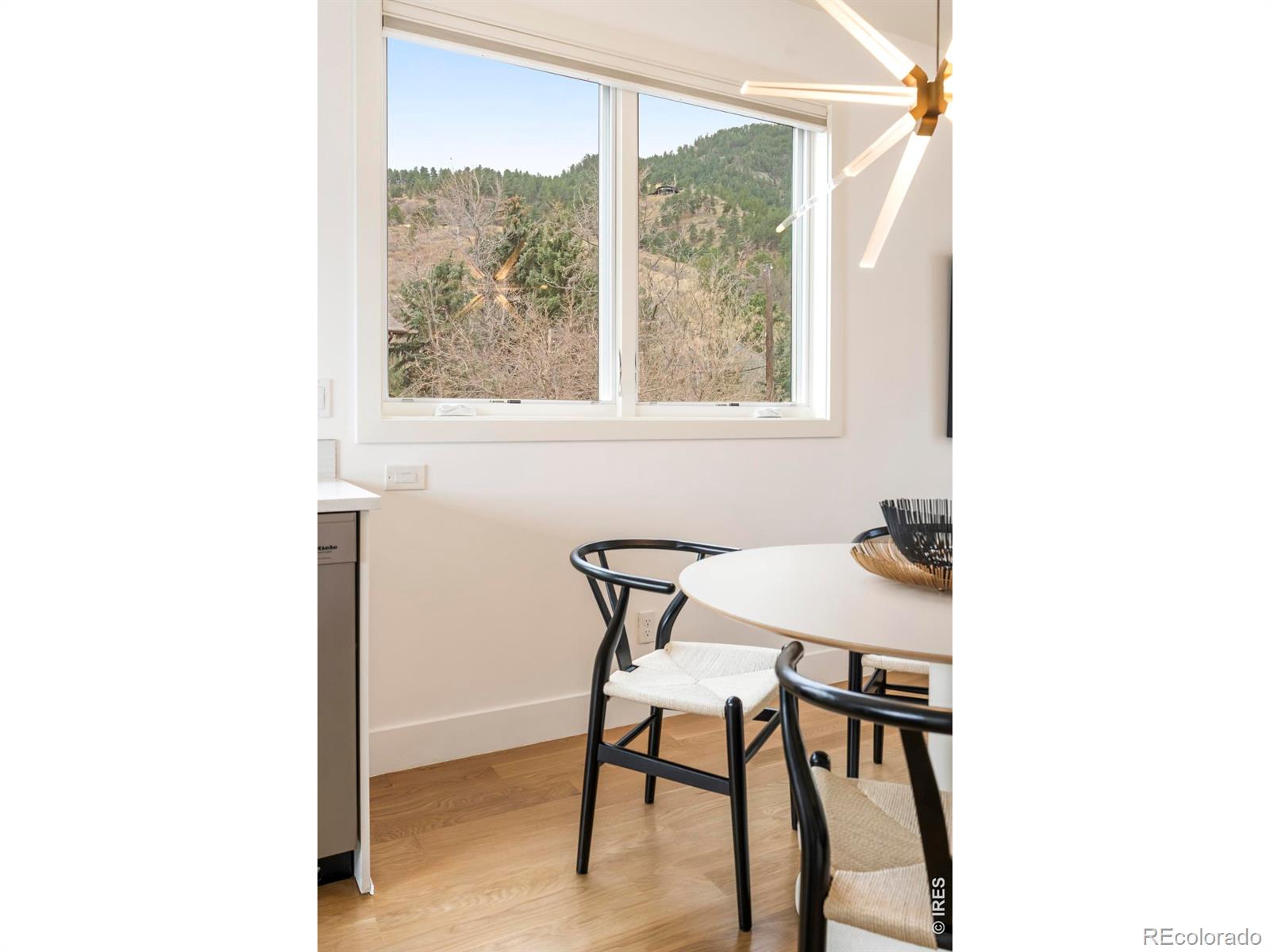 MLS #RECIR1067764 image #16