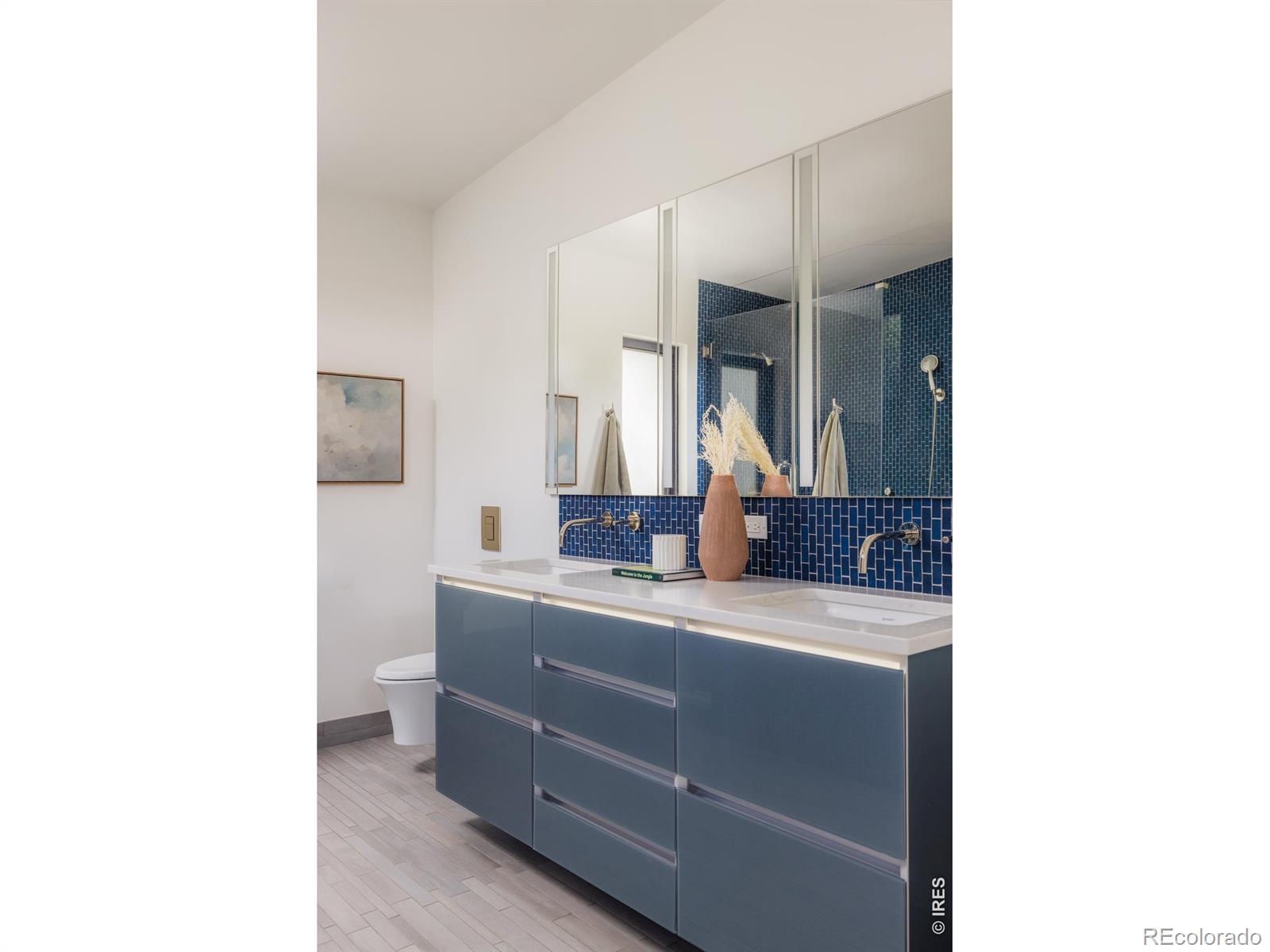 MLS #RECIR1067771 image #22