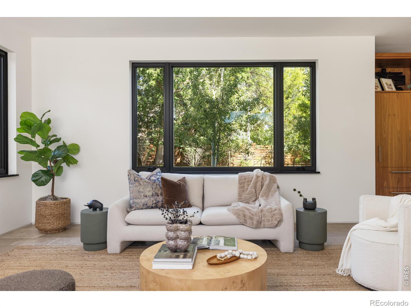 MLS #RECIR1067771 image #9