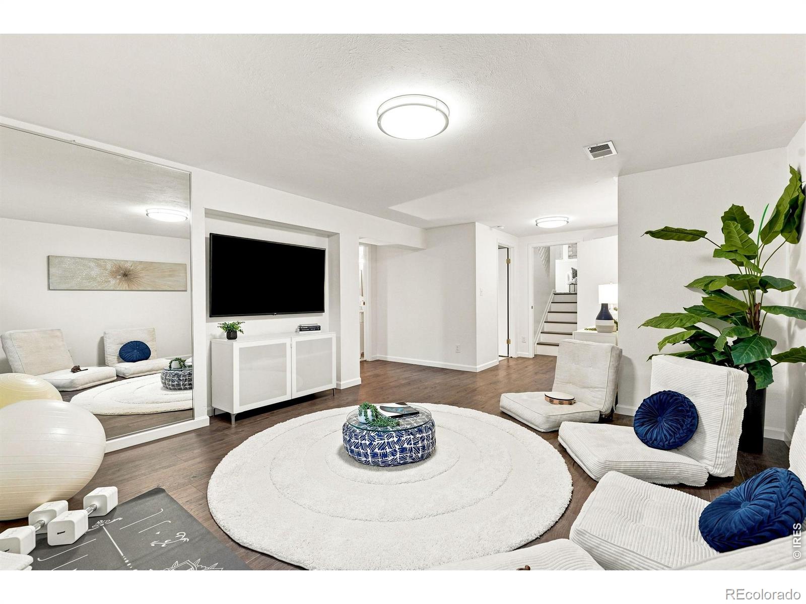 MLS #RECIR1067859 image #29