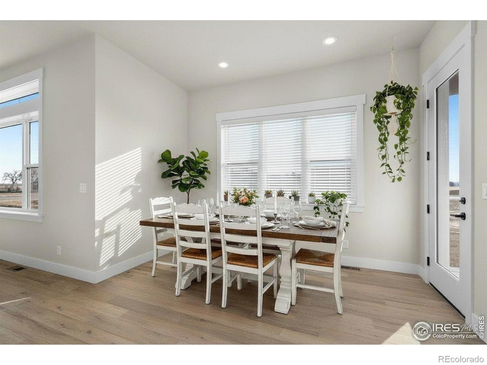 MLS #RECIR1067933 image #12