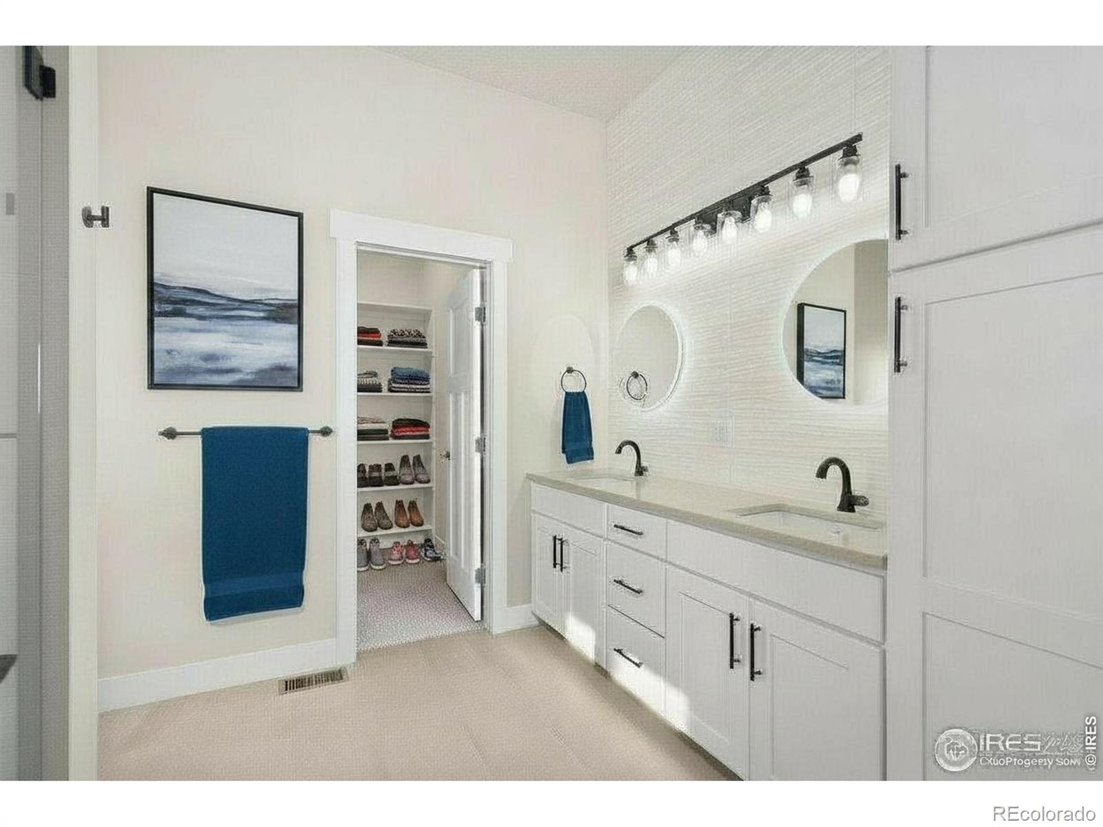 MLS #RECIR1067933 image #19