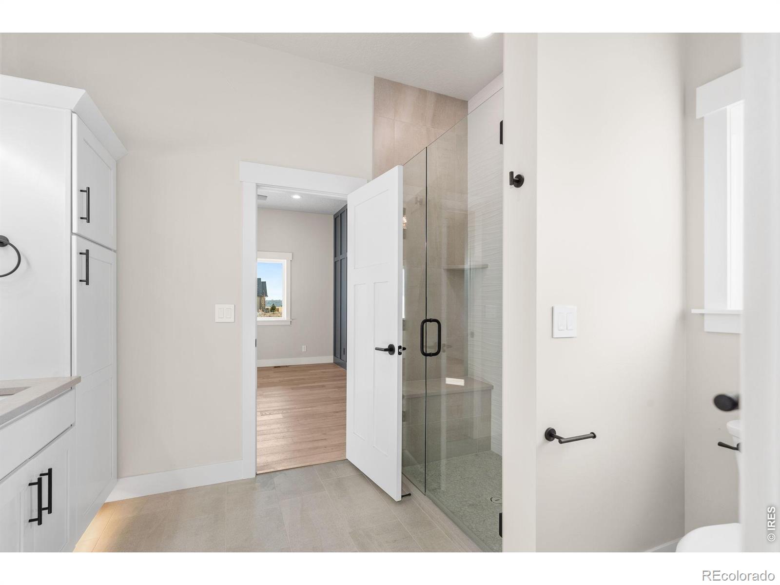 MLS #RECIR1067933 image #20