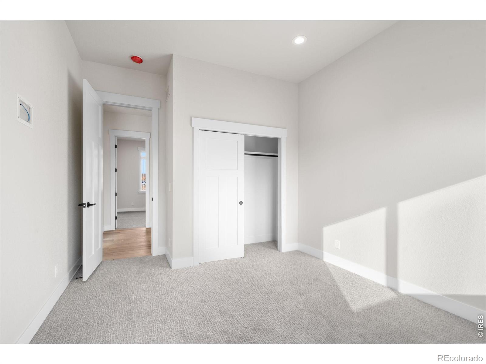 MLS #RECIR1067933 image #23