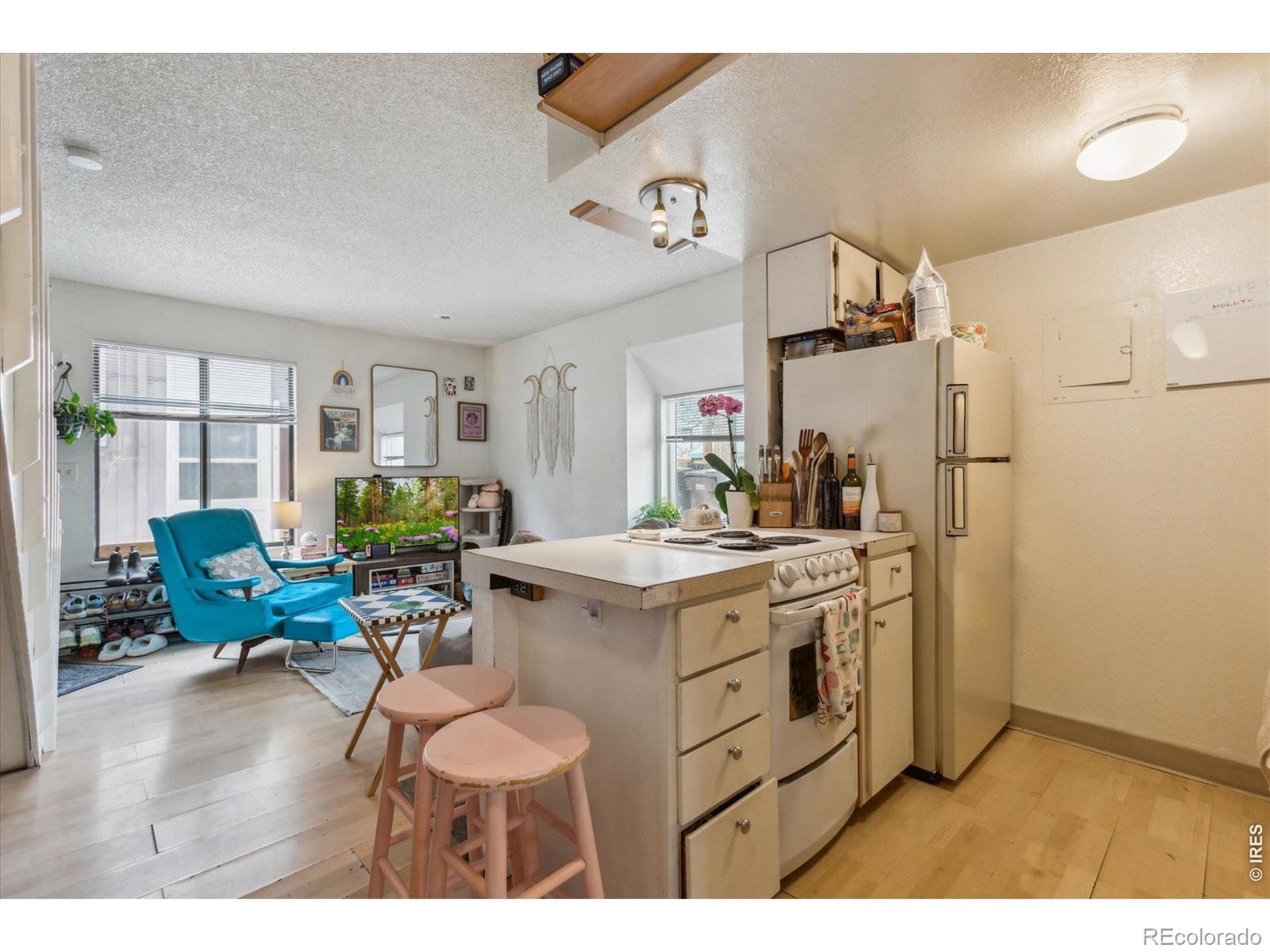 MLS #RECIR1067938 image #46