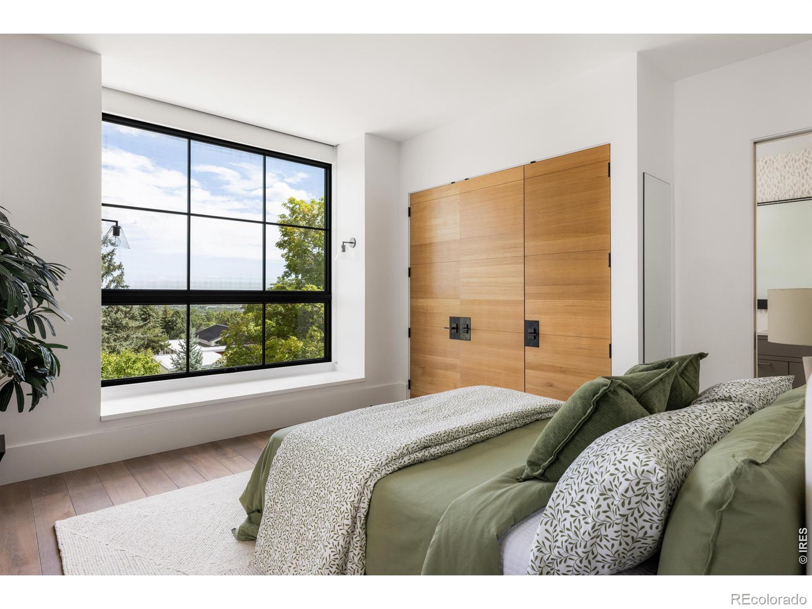 MLS #RECIR1067982 image #28