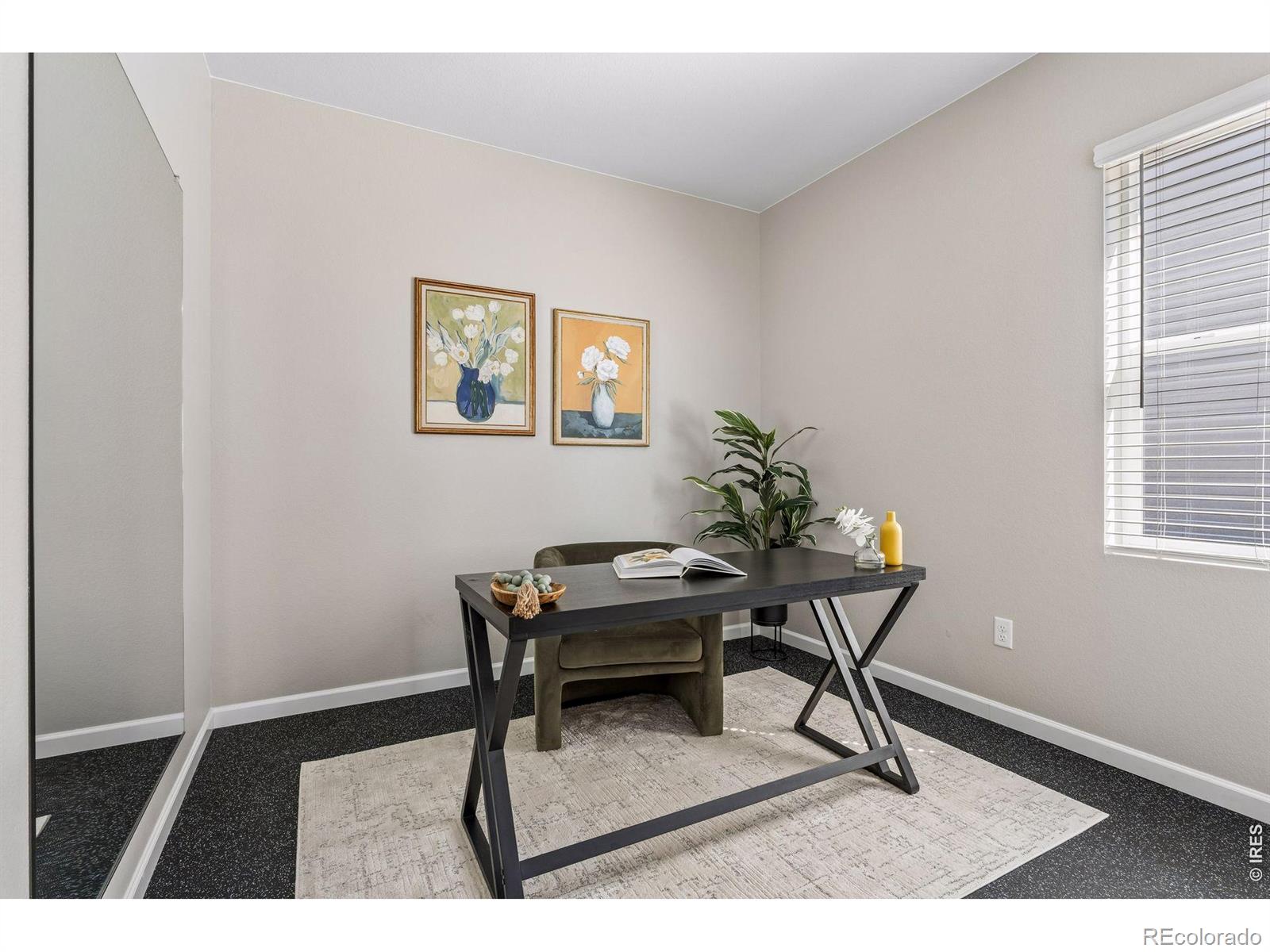 MLS #RECIR1068007 image #7