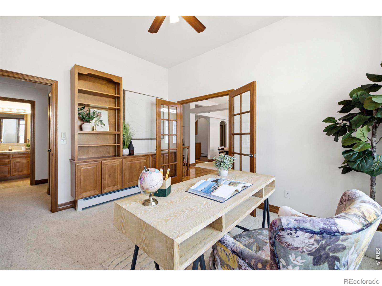 MLS #RECIR1068018 image #16