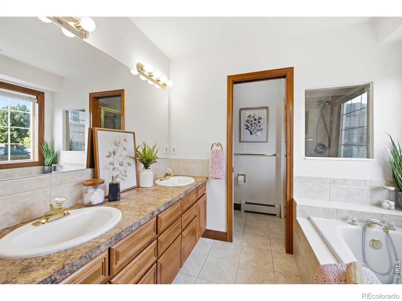 MLS #RECIR1068018 image #20