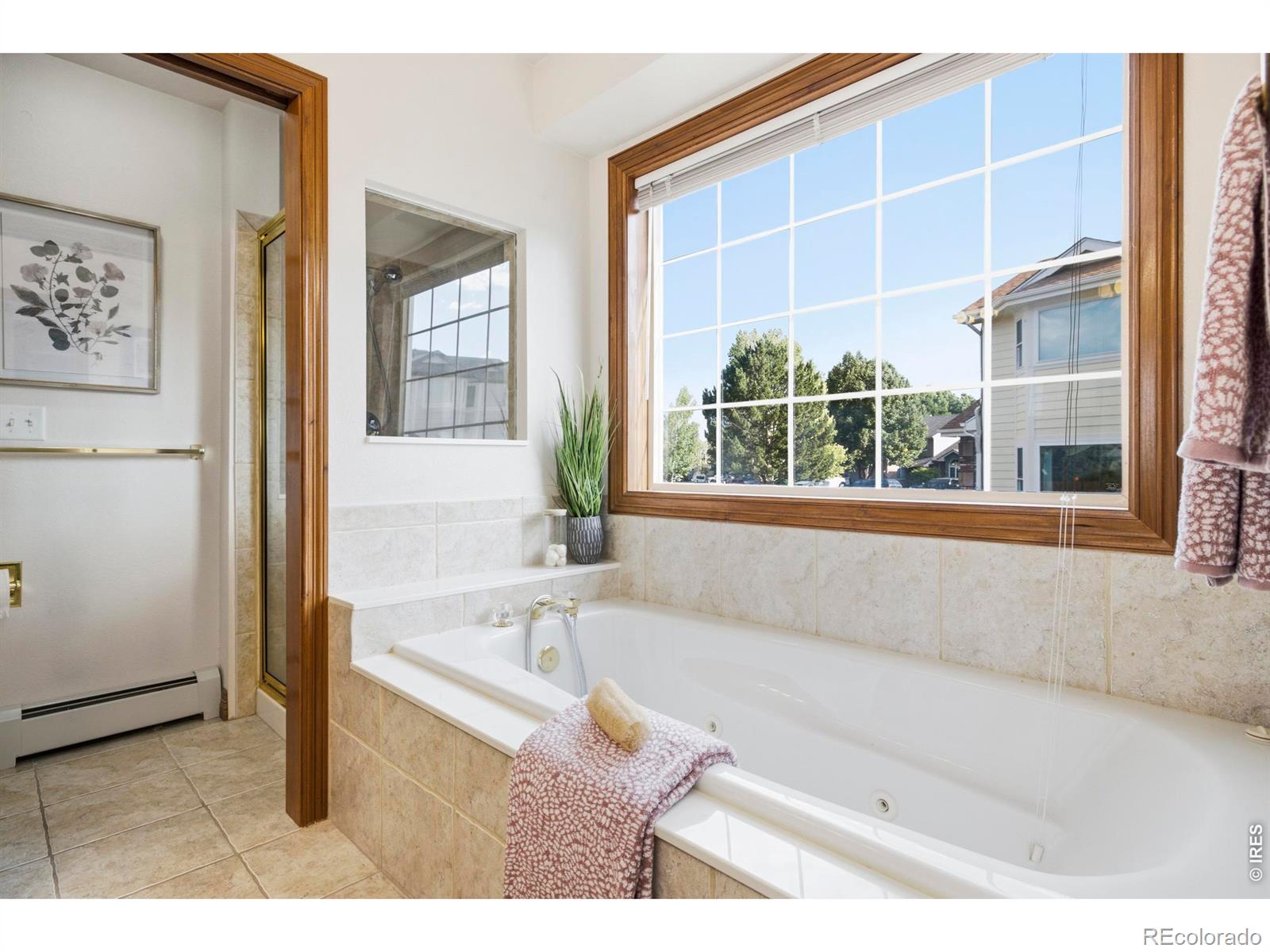 MLS #RECIR1068018 image #21