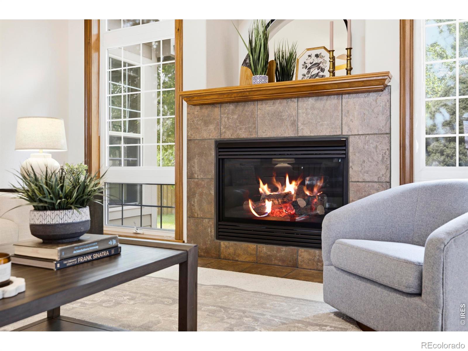 MLS #RECIR1068018 image #3